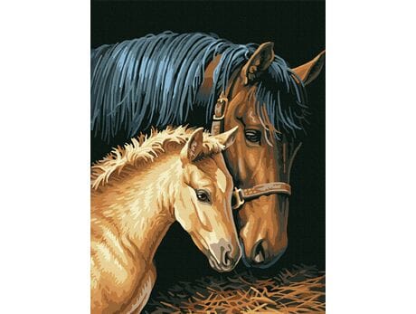 Картина по номерам - Лошади 30x40