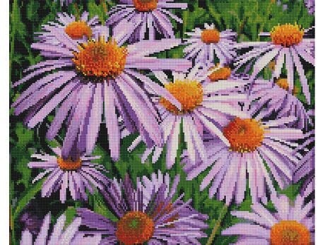 Teemantmosaiik - Lillad lilled40x50