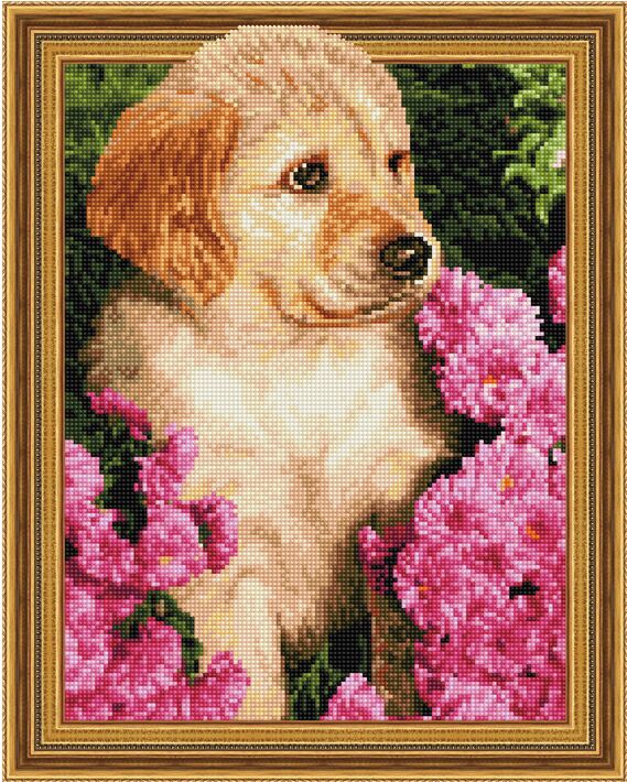 5D Teemantmosaiik - Kutsikas 40x50