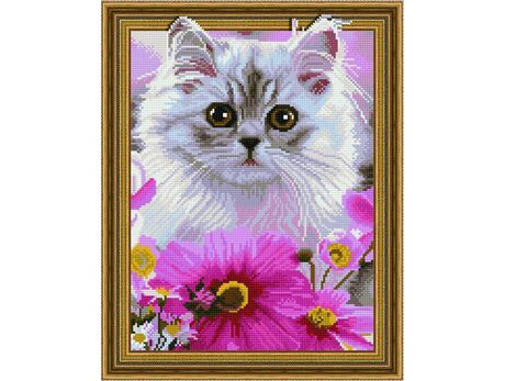 5D Алмазная мозаика - Белая кошка 40x50