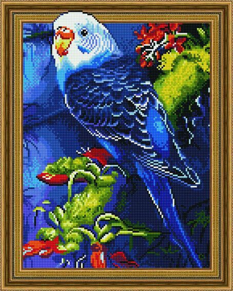 5D Teemantmosaiik - Papagoi 40x50