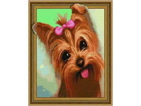 5D Teemantmosaiik - Koer Yorki 40x50