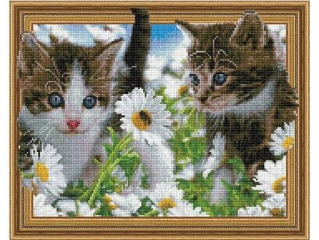 5D Teemantmosaiik - Kassid 40x50