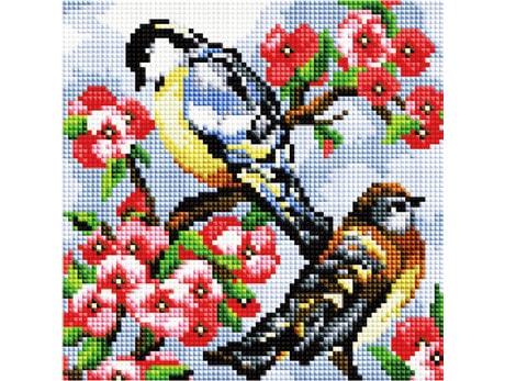 Teemantmosaiik - Linnud 20x20