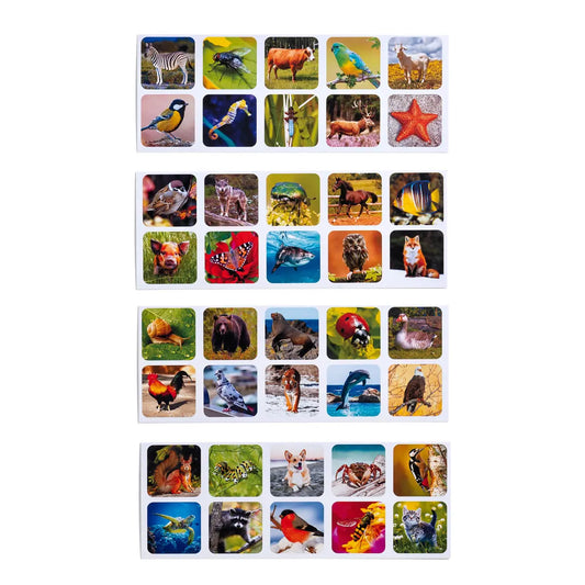 Loomade sorteermismäng lastele - puidust õpikomplekt