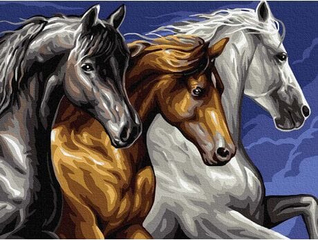 Картина по номерам - Три лошади 30x40