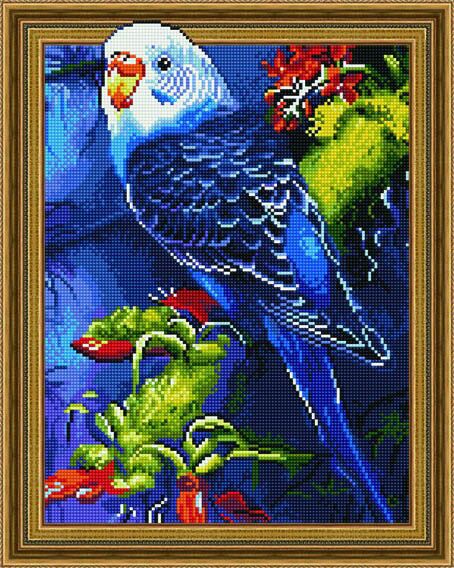 5D Алмазная мозаика - Попугай 40x50